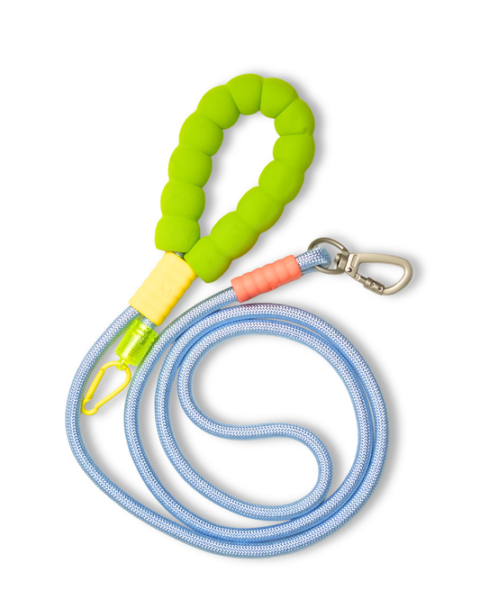 Lime Pop Rope Leash