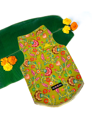 Rangila Romeo Sherwani