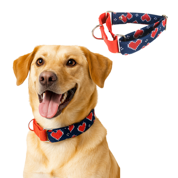 Hearty print Martingale Collar (1.5 inch width)