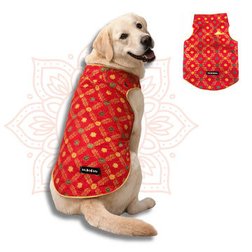 Red Banarasi Sherwani