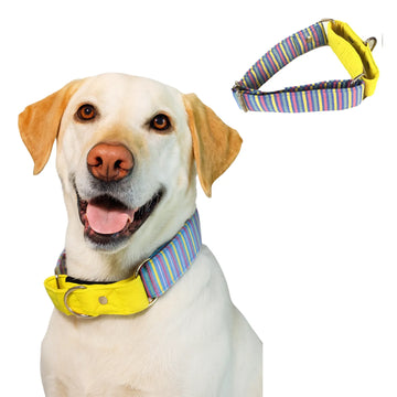 Multicolor Stripe Martingale Collar LARGE