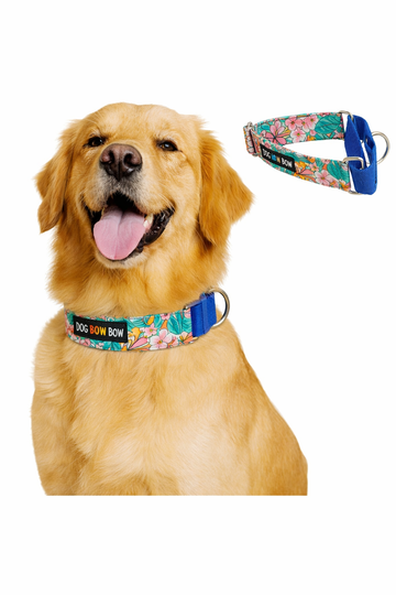 Tropicana Martingale Collar LARGE