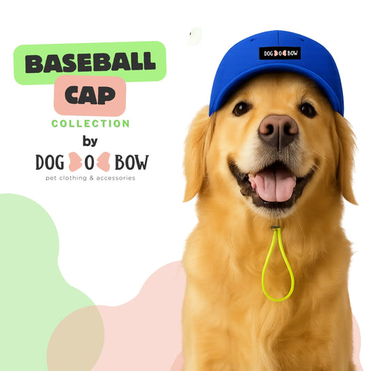 Royal Blue Baseball Cap