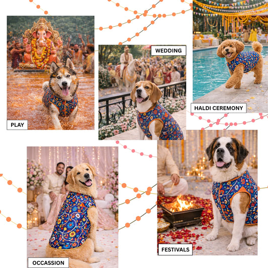 Royal Blue Floral Sherwani