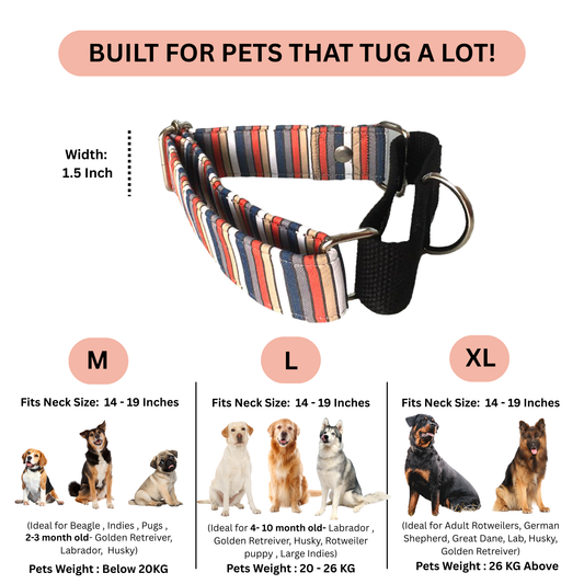 Volcano Stripe Martingale Collar LARGE