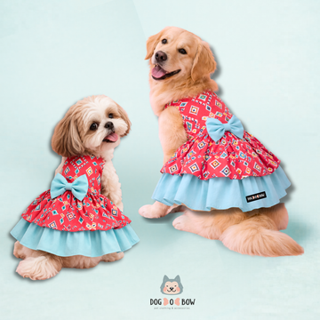 Pink-Teal Layer dress