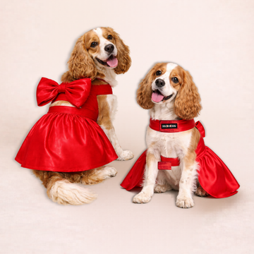 The Little Red Dress