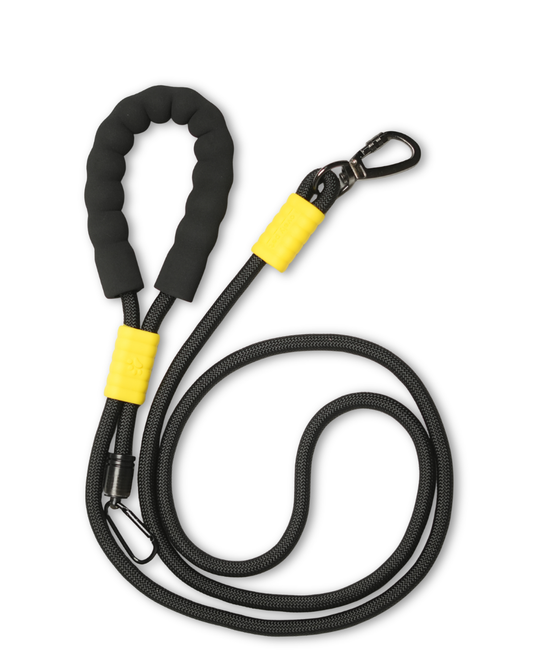 Bumblebee Rope leash