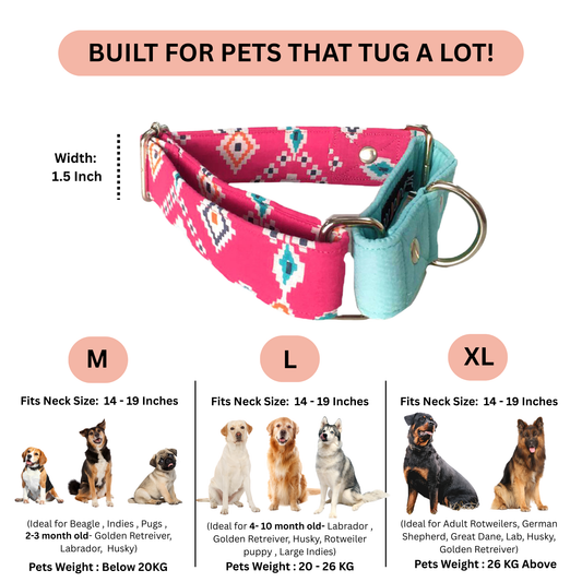 Teal-Pink Aztec Martingale Collar LARGE