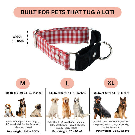 Red Gingham Martingale Collar