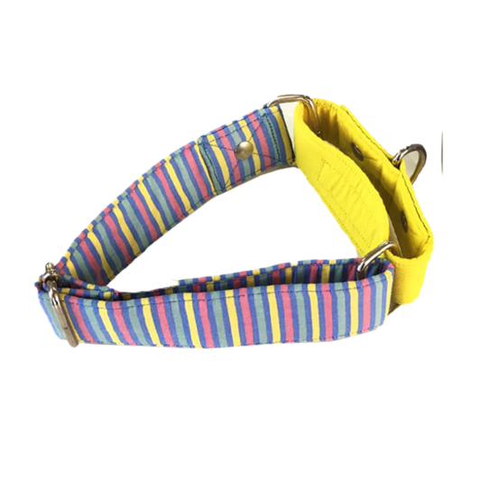Multicolor Stripe Martingale Collar LARGE