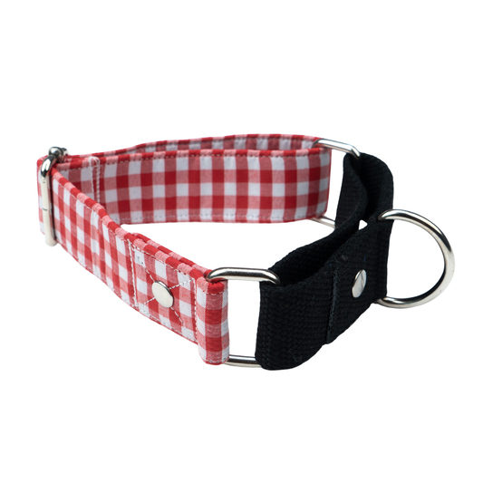 Red Gingham Martingale Collar