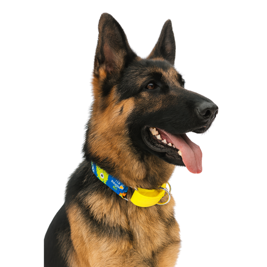 Monster Print Martingale Collar SMALL