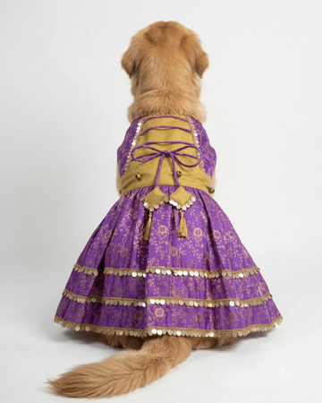 Param Sundari Dress