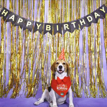 PET BIRTHDAY DECOR COMBO (5 in 1)