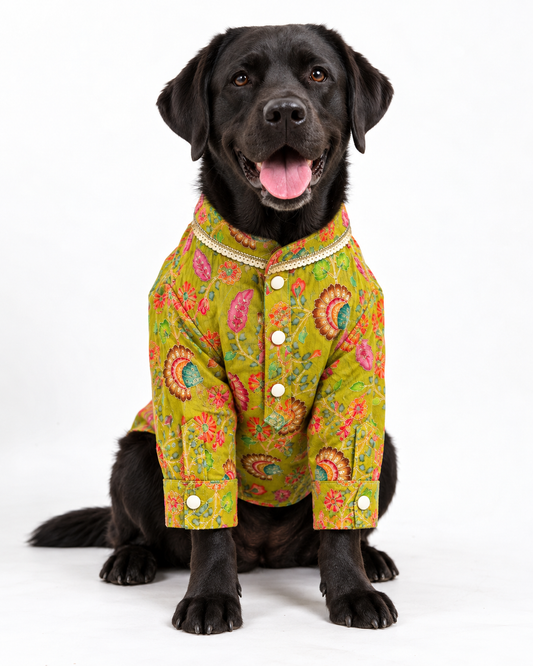 Lookin like a Snack Kurta