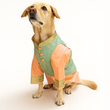 Pastel Green Kurta Jacket Combo