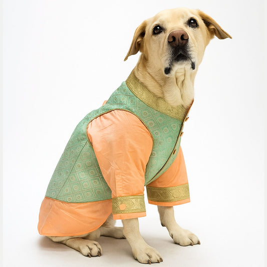 Pastel Green Kurta Jacket Combo