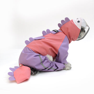 Bubbles Dino Raincoat