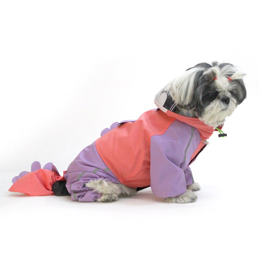 Bubbles Dino Raincoat