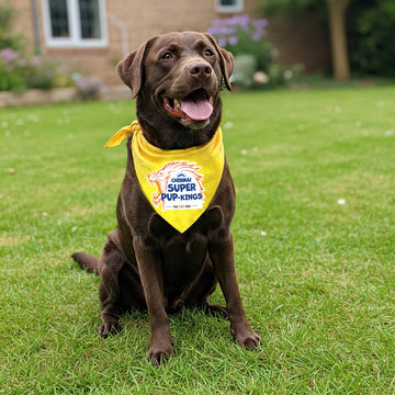 Chennai Super Pup-Kings Pet Bandana