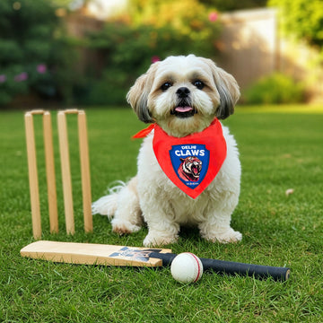 Delhi Claws Pet Bandana