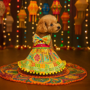 Yellow traditional embroidered dress