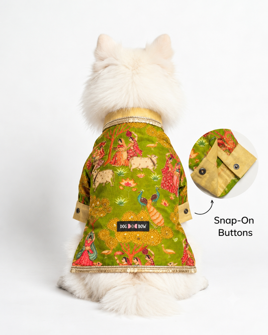 Golu Gangster Kurta