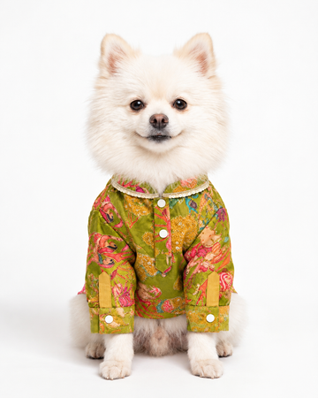 Golu Gangster Kurta