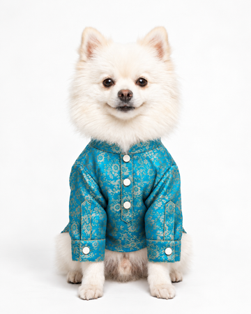 Chonky Pro Max Kurta