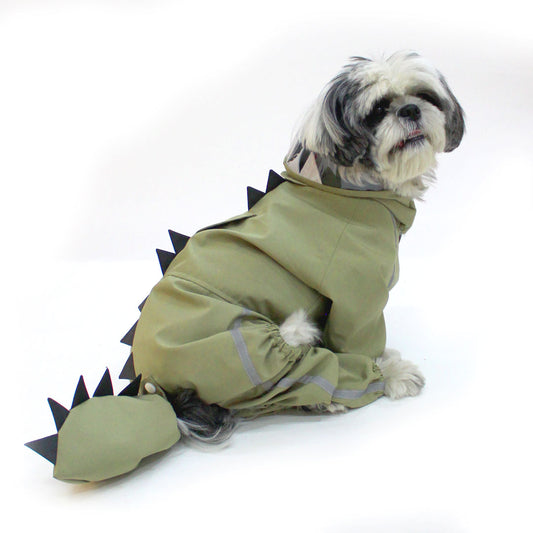 Green  Dino Raincoat