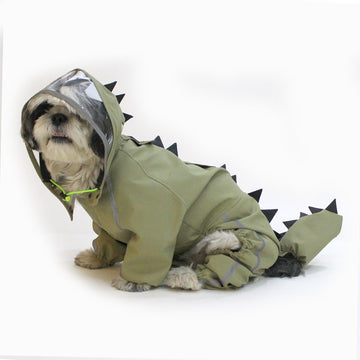 Green  Dino Raincoat