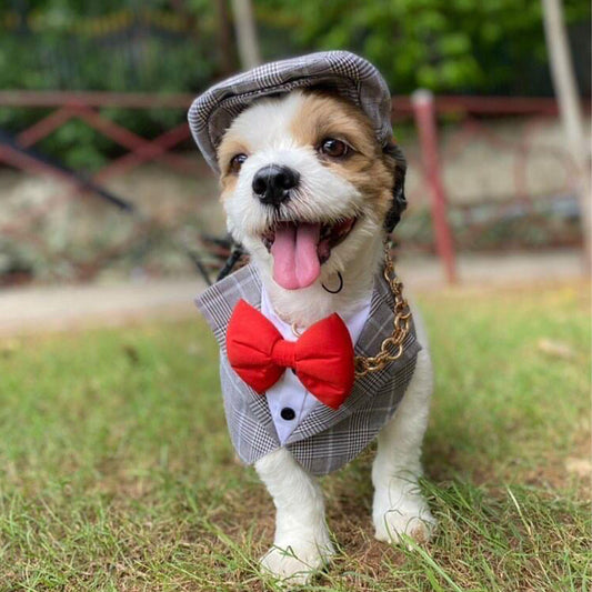 Grey Check Tuxedo Vest Bandanas
