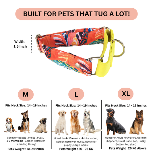 Red Hawaii Martingale Collar LARGE