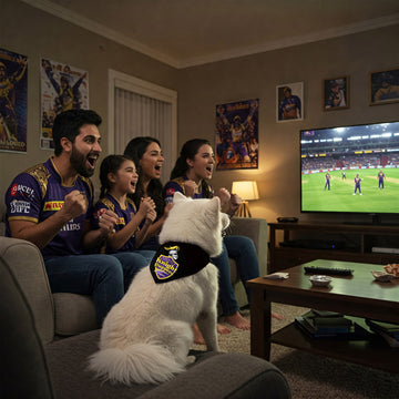 Knight Puppers Pet Bandana