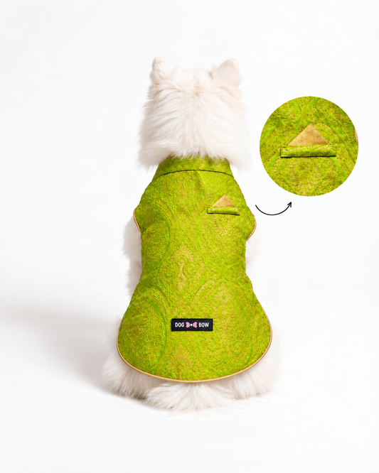 Delulu Doggo Sherwani