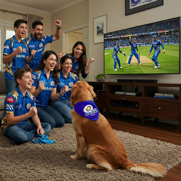 Mumbai Munchkins Pet Bandana