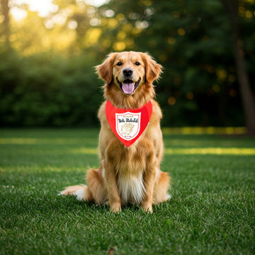 Punjab Da Raja Pet Bandana