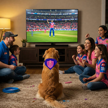 Rajasthan Royal Companion Pet Bandana