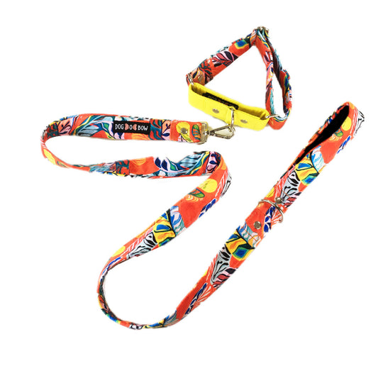 Red Hawaii Print martingale Leash combo