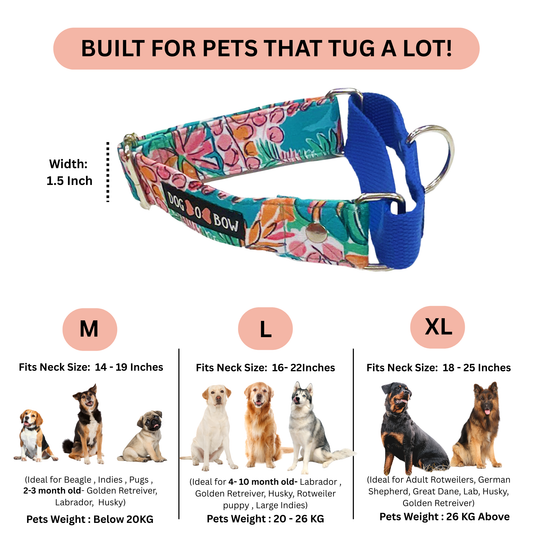 Tropicana Martingale Collar LARGE