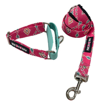 Teal-Pink Aztec Martingale Leash Combo (1 inch Width)