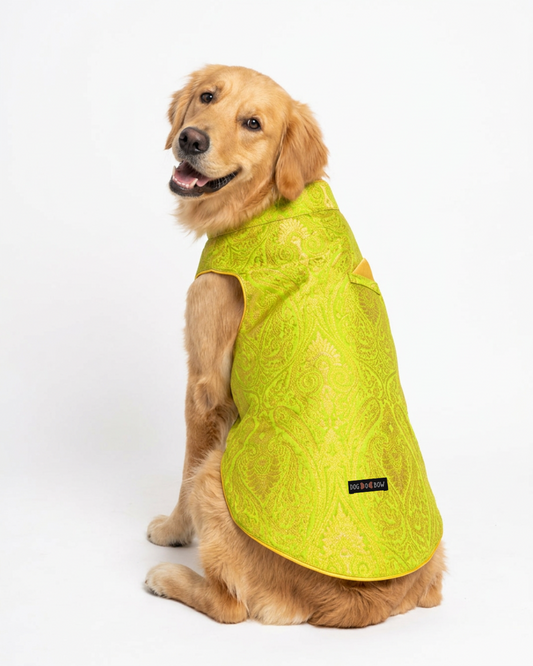Delulu Doggo Sherwani