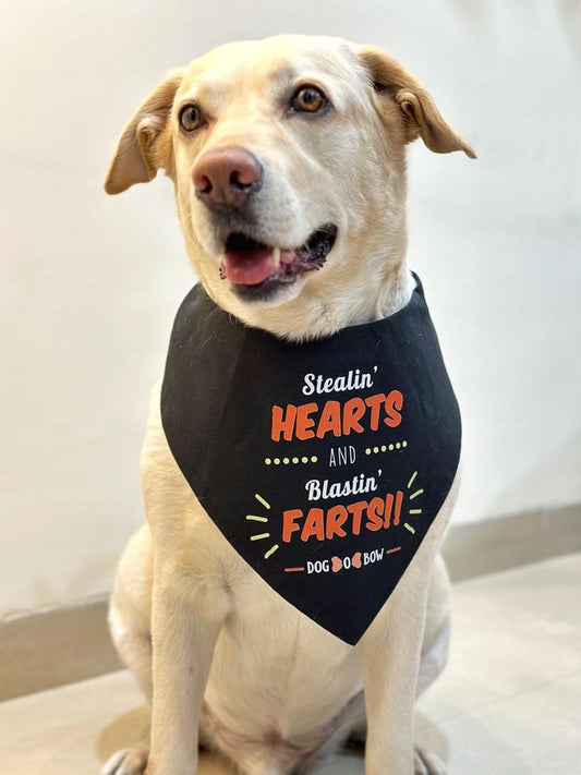 Stealin' Farts neckerchief