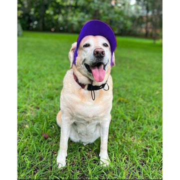 Royal Blue Baseball Cap