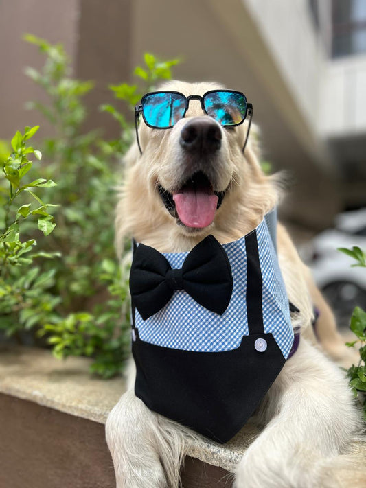 Blue Gingham Dungaree Bandana