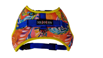 Overhead Body Harness