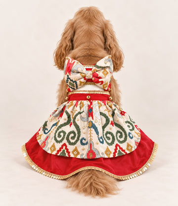 Roop ki Rani Dress