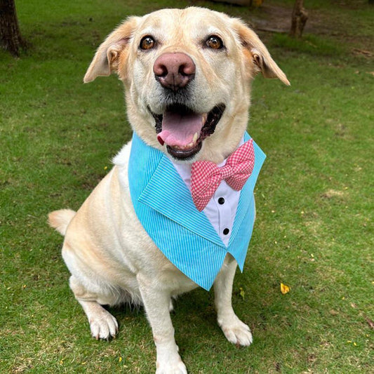 Aqua strip Tuxedo Vest Bandana