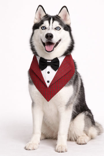 Maroon  Check Tuxedo Vest Bandana